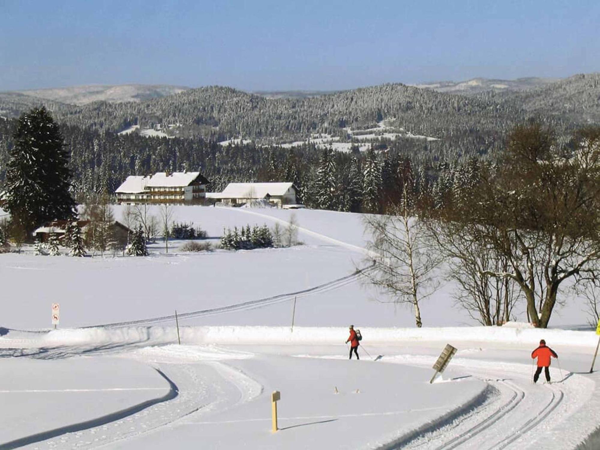 Hotel Maerchenwald Haidmühle 外观 照片